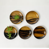 【黒柿】豆皿 拭漆