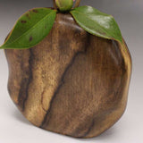 【黒柿】天然花入 円