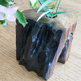 【黒柿】天然花入れ