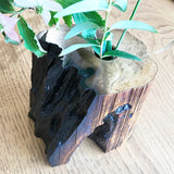 【黒柿】天然花入れ