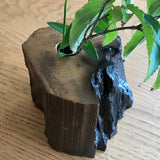 【黒柿】天然花入れ