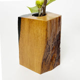 【黒柿】樹芯花入