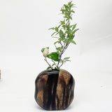 【黒柿】天然花入 円