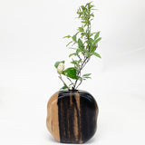 【黒柿】天然花入 円