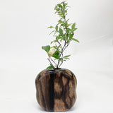 【黒柿】天然花入 円